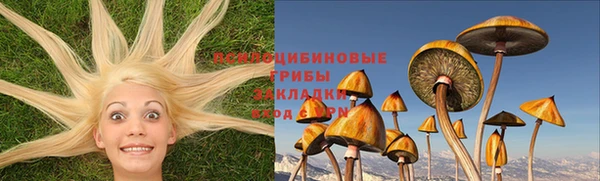 бошки Волосово
