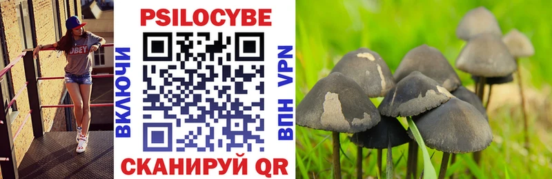 Купить Баксан Псилоцибиновые грибы ЛСД